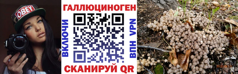 Галлюциногенные грибы Psilocybine cubensis  гидра ONION  Пролетарск 